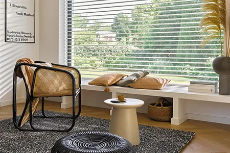Silhouette&reg; shades